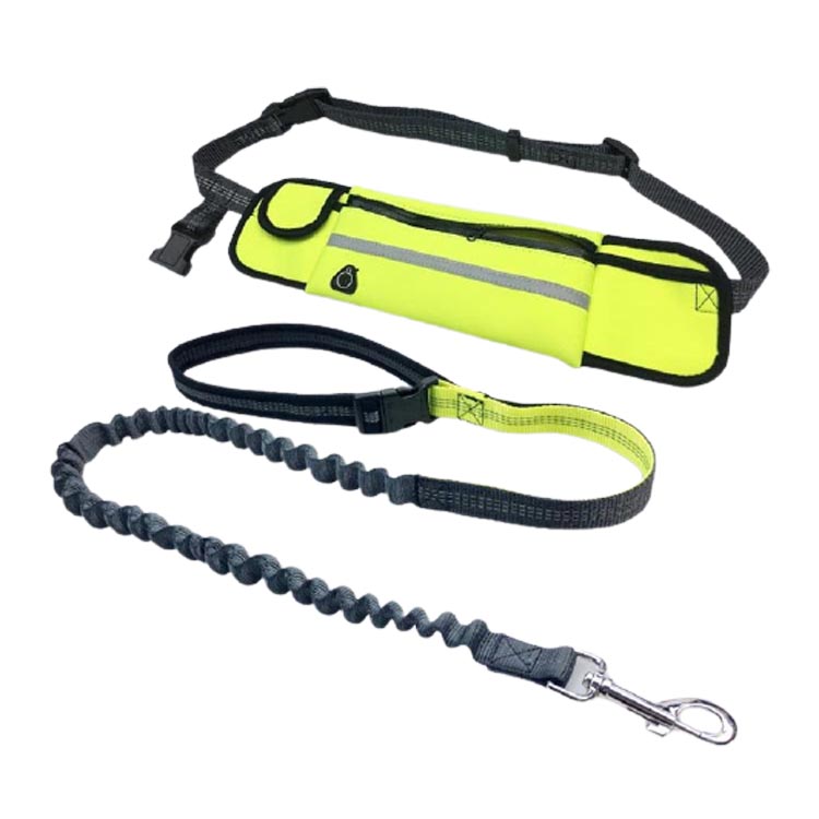 Reflective Dog Bungee leash with Waist Bag